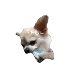 goodog（個別スタンプ：2）