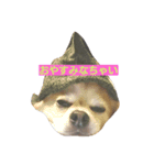goodog（個別スタンプ：6）