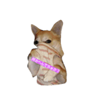 goodog（個別スタンプ：8）