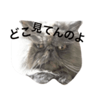 ぶちゃぶっちゃ（個別スタンプ：3）