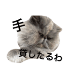 ぶちゃぶっちゃ（個別スタンプ：4）