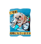 犬社長なめこです（個別スタンプ：1）