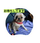犬社長なめこです（個別スタンプ：3）