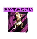 犬社長なめこです（個別スタンプ：4）