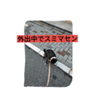 犬社長なめこです（個別スタンプ：9）