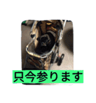 犬社長なめこです（個別スタンプ：14）