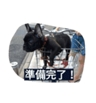 フレブル小豆（あずき）の迷走（個別スタンプ：4）
