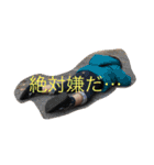 親バカスタンプ  カイト（個別スタンプ：4）