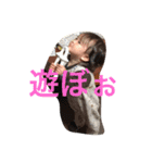 親バカスタンプ  カイト（個別スタンプ：27）