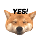 豆柴にこちゃん2（毎日使う言葉たち）（個別スタンプ：7）