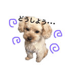 go go POKOTA 2（個別スタンプ：3）