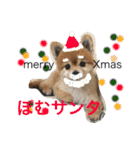 ポメラニアン鈴木ぽむの写真スタンプ2（個別スタンプ：39）
