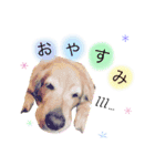 YUKI HAPPY stamp（個別スタンプ：5）