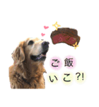 YUKI HAPPY stamp（個別スタンプ：12）
