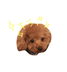 LEIAくんとBOSSくん（個別スタンプ：3）