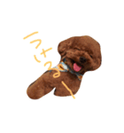 LEIAくんとBOSSくん（個別スタンプ：5）