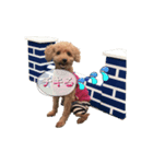 MUGI's Buzzword  2（個別スタンプ：4）