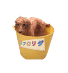 MUGI's Buzzword  2（個別スタンプ：6）