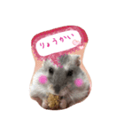 ミーのハム（個別スタンプ：4）
