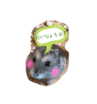 ミーのハム（個別スタンプ：14）