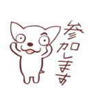 片眉！白いチワワンのお仲間と使うスタンプ（個別スタンプ：5）