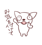 片眉！白いチワワンのお仲間と使うスタンプ（個別スタンプ：20）