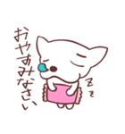 片眉！白いチワワンのお仲間と使うスタンプ（個別スタンプ：23）