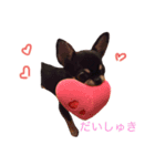 ひめここららるる（個別スタンプ：8）