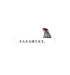 吹き出し文鳥さん（個別スタンプ：9）