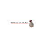吹き出し文鳥さん（個別スタンプ：14）
