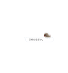 吹き出し文鳥さん（個別スタンプ：15）