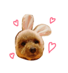 shellie with manjutarou（個別スタンプ：9）