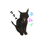 ウル（個別スタンプ：1）