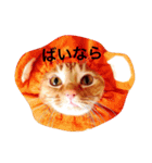 表情豊かなモタちゃん（個別スタンプ：2）