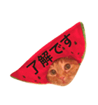 表情豊かなモタちゃん（個別スタンプ：7）