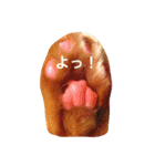 表情豊かなモタちゃん（個別スタンプ：18）