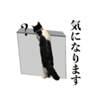 ねこのねぎ（個別スタンプ：33）
