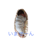 nokino（個別スタンプ：16）
