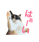 のんのんのんちゃん◎2（個別スタンプ：1）