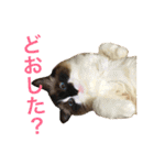 のんのんのんちゃん◎2（個別スタンプ：7）