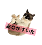 のんのんのんちゃん◎2（個別スタンプ：9）