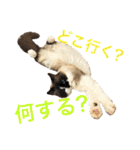 のんのんのんちゃん◎2（個別スタンプ：13）