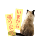 のんのんのんちゃん◎2（個別スタンプ：16）
