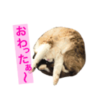 のんのんのんちゃん◎2（個別スタンプ：17）