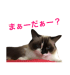 のんのんのんちゃん◎2（個別スタンプ：19）