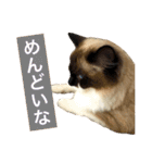 のんのんのんちゃん◎2（個別スタンプ：22）