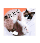 のんのんのんちゃん◎2（個別スタンプ：26）