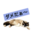 のんのんのんちゃん◎2（個別スタンプ：29）