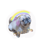 sisimaru  da！！  wan（個別スタンプ：11）
