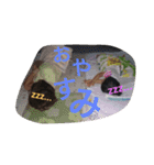 HORIS（個別スタンプ：9）